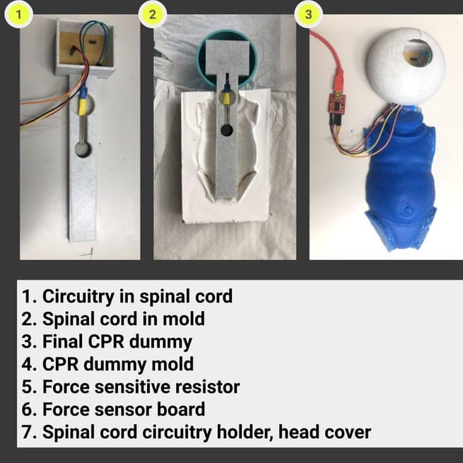 Digitized CPR Dummy
